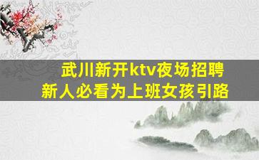 武川新开ktv夜场招聘新人必看为上班女孩引路